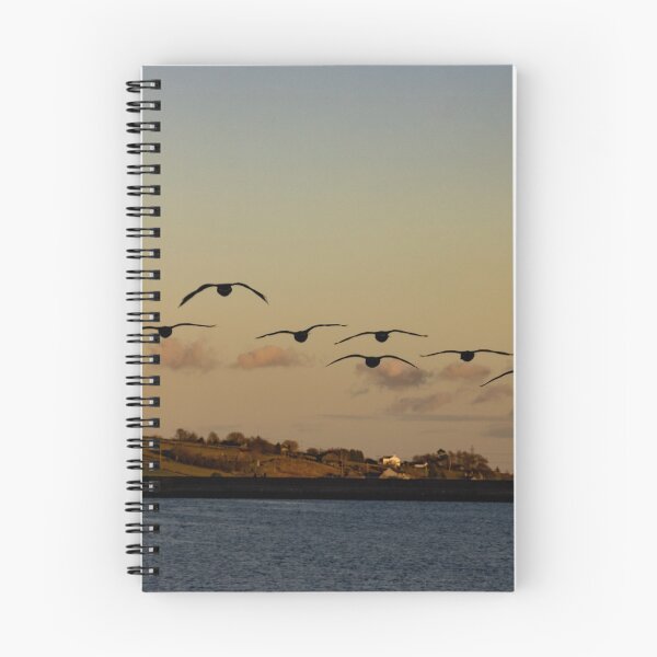 Item preview, Flying off into the sunset designed and sold by Allenart_UK.