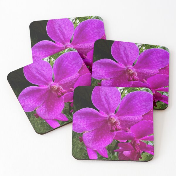 Item preview, Pink Orchids designed and sold by busy-b-life.