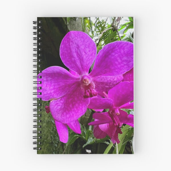 Item preview, Pink Orchids designed and sold by busy-b-life.