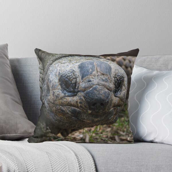 Item preview, Let's Not Be Hasty designed and sold by AhArtography.