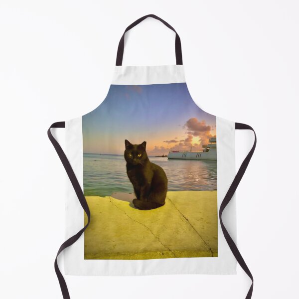Item preview, Black cat at sunset by the sea designed and sold by Sunset Photography by Andy Cooper.