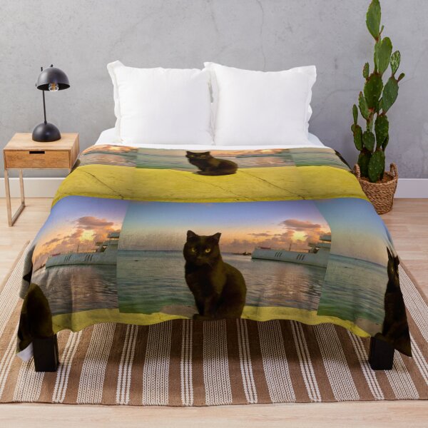 Item preview, Black cat at sunset by the sea designed and sold by Sunset Photography by Andy Cooper.