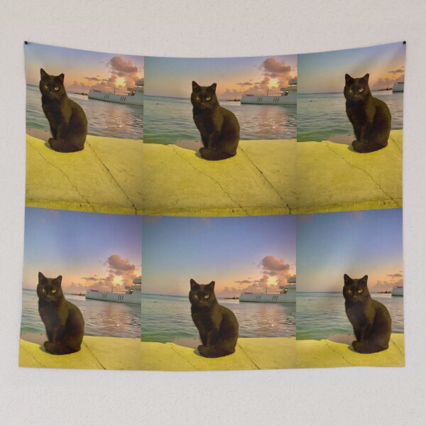 Item preview, Black cat at sunset by the sea designed and sold by Sunset Photography by Andy Cooper.