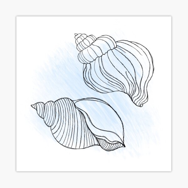 How to Draw SeaShells - Easy Step by Step Drawing Tutorial - YouTube