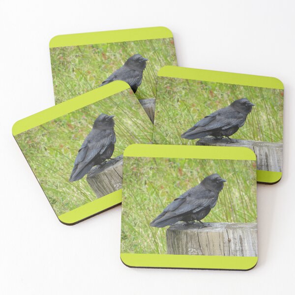 Item preview, Bird at the Beach - Central Oregon Pacific Coast designed and sold by TechLaughs.
