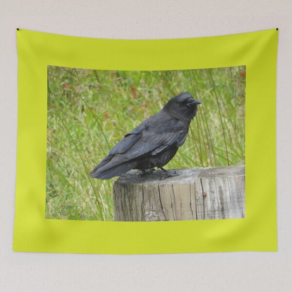 Item preview, Bird at the Beach - Central Oregon Pacific Coast designed and sold by TechLaughs.