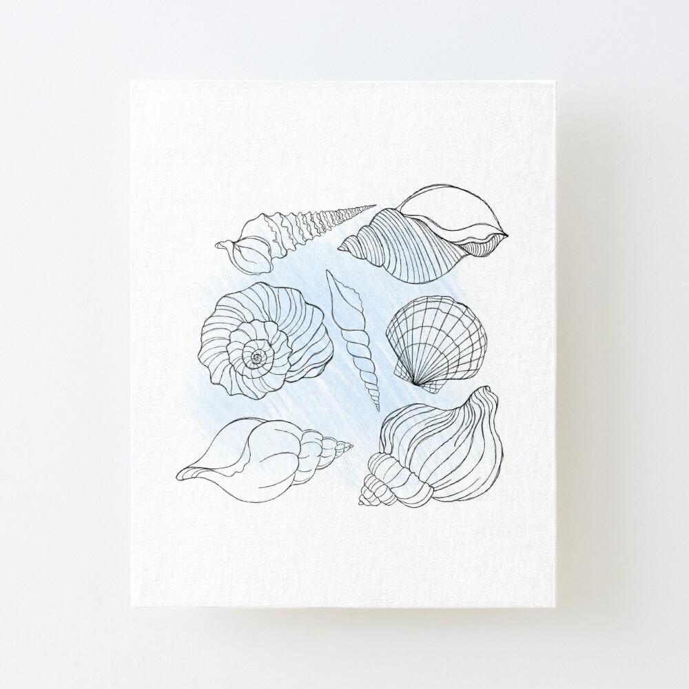 Line art illustration of a seashell on blue watercolor background. Shell  tattoo idea. Hand drawn nautical engraving of nautical prints isolated on  white background Art Board Print for Sale by littlemagic377