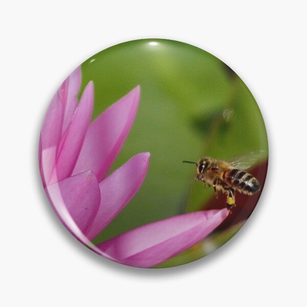 Item preview, Pollen collecting at the Lilly pond designed and sold by Sunset Photography by Andy Cooper.