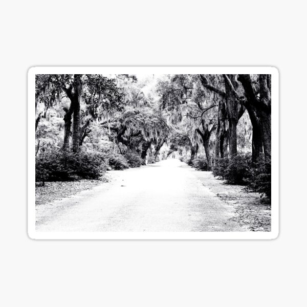Item preview, Cemetery Path designed and sold by jancasper.