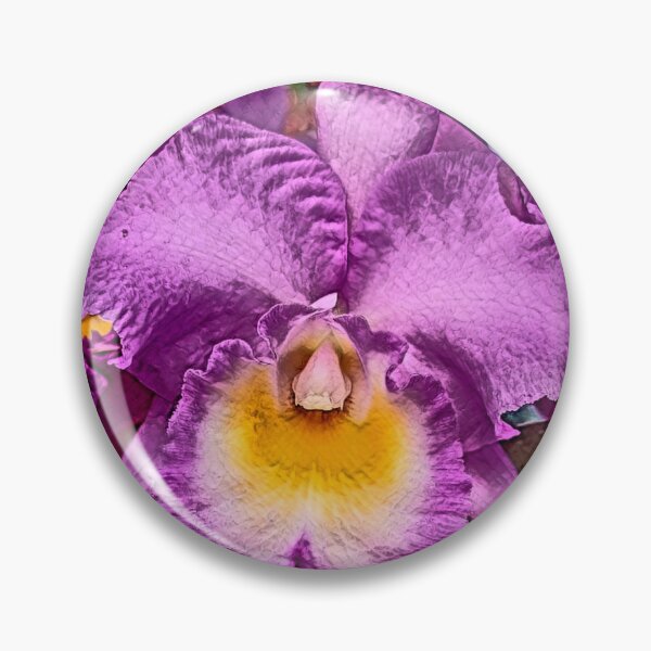 Item preview, Cattleya Hybrid 2 designed and sold by olusion.