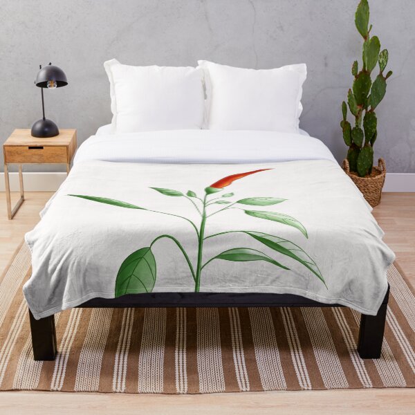 Item preview, Hot Chili Pepper Plant With Red Fruit Botanical Art designed and sold by Boriana Giormova.
