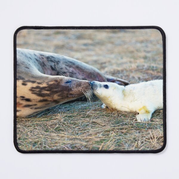 Item preview, Donna Nook Grey Seal Colony Kiss designed and sold by Paul Thompson Photography.
