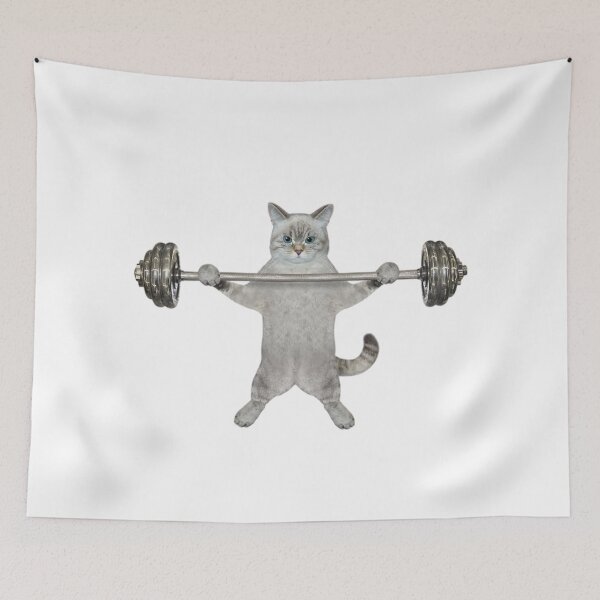 Item preview, cat in a gym designed and sold by The Enthousiaste.
