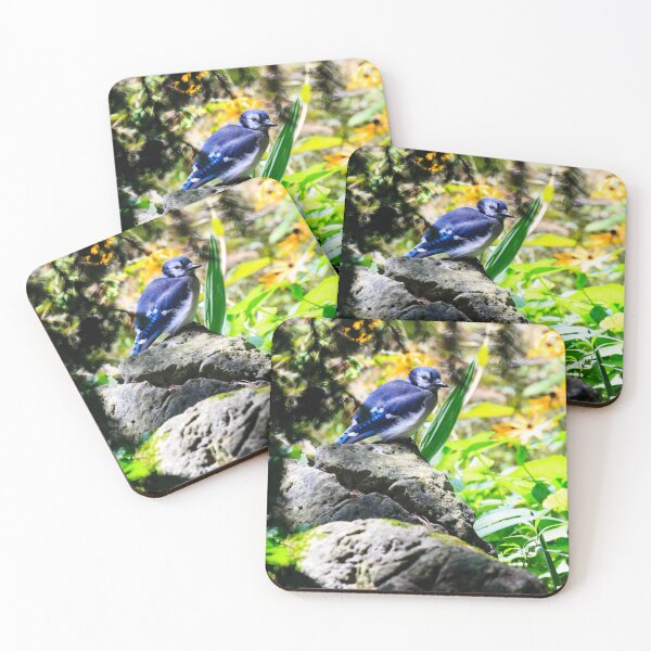 Item preview,  Blue Jay In My Garden designed and sold by Robert Alsop.