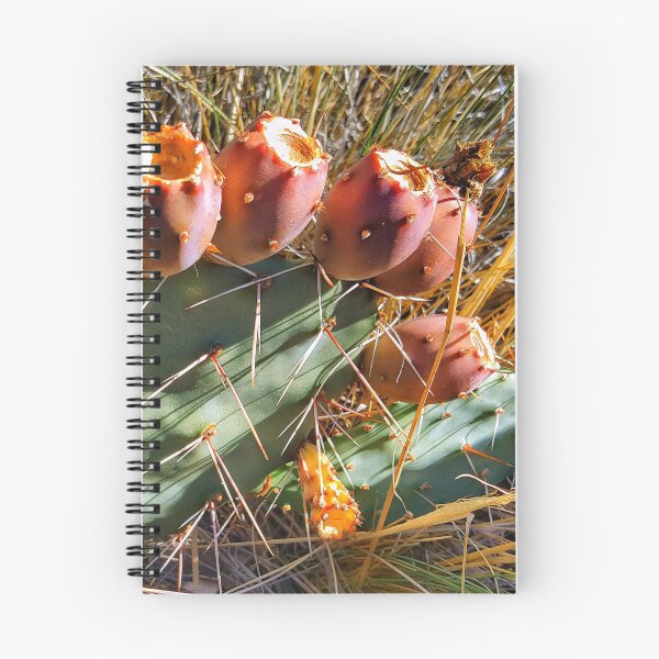 Item preview, Prickly Pear Fruit designed and sold by slatewalker.