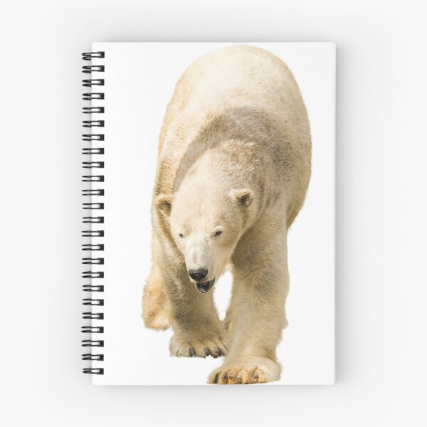 Item preview, Stunning Polar Bear Having a Stroll designed and sold by LFPPhotography.