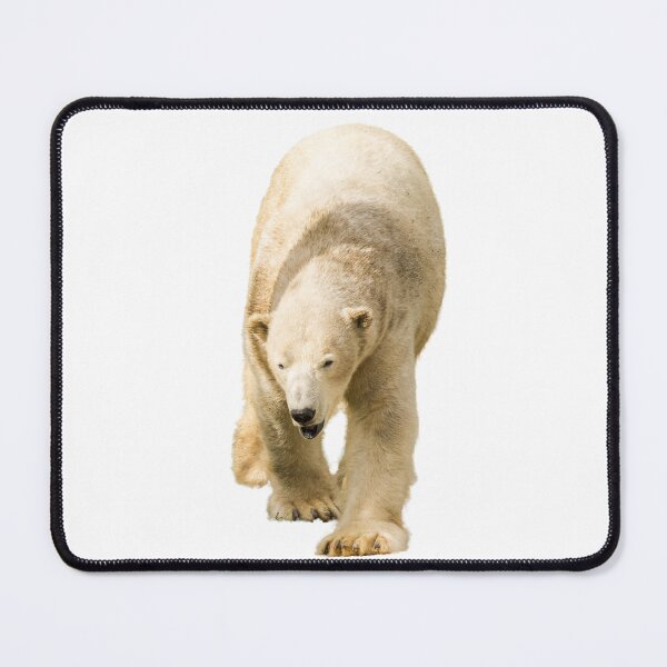 Item preview, Stunning Polar Bear Having a Stroll designed and sold by LFPPhotography.