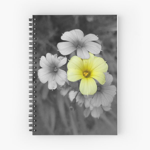 Item preview, Flowers designed and sold by Hannah Lowe.