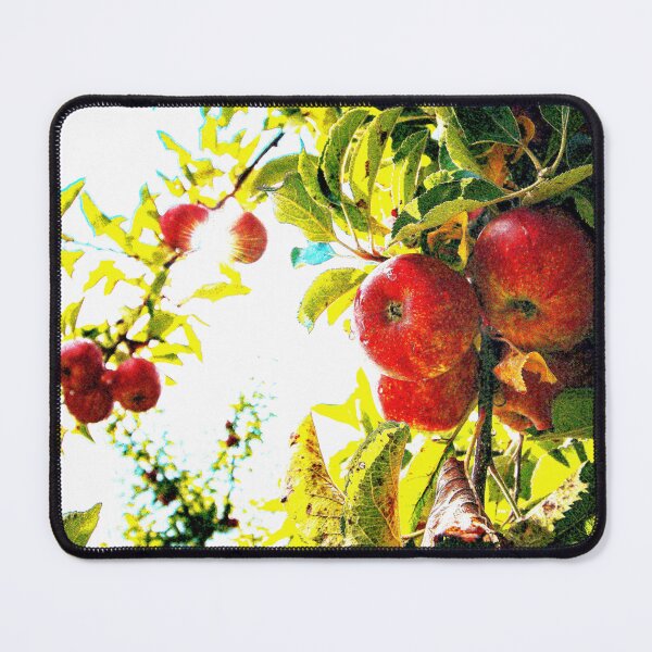 Item preview, "Red Apples Tree On Sunny Day" Cute Photo. Buy Now designed and sold by Health And Fitness Posts e-Store.
