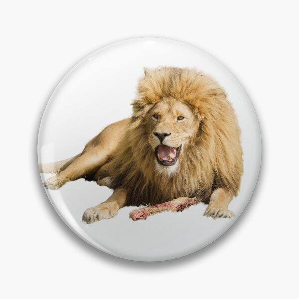 Item preview, Lion Enjoying His Dinner designed and sold by LFPPhotography.