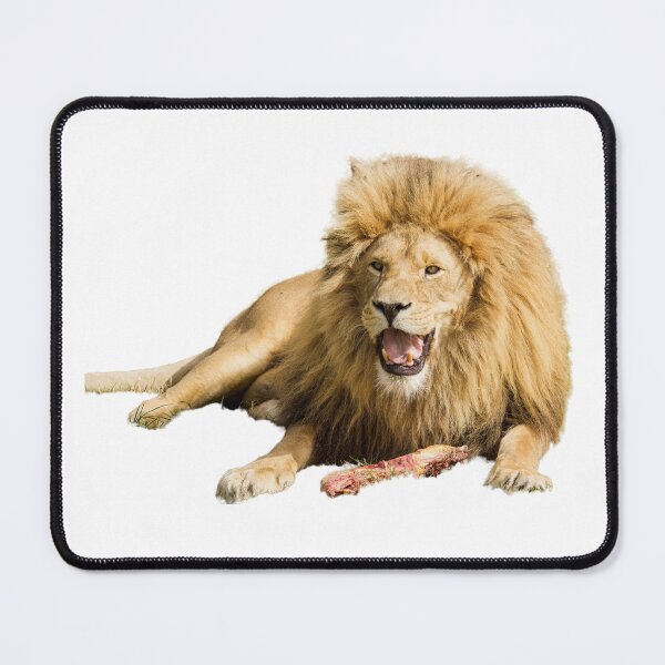 Item preview, Lion Enjoying His Dinner designed and sold by LFPPhotography.