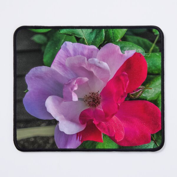 Item preview, Two tone  designed and sold by jeepgirl363.
