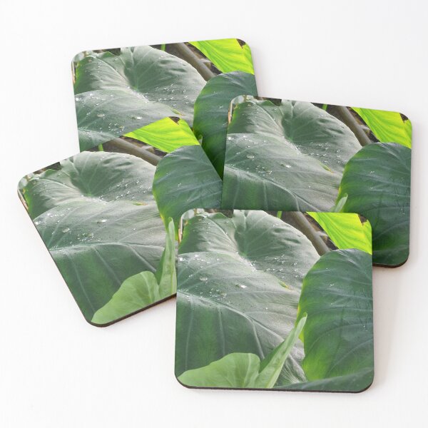 Item preview, nature, leaves, water drops, green, photography, Bebicervin designed and sold by BebiCervin.