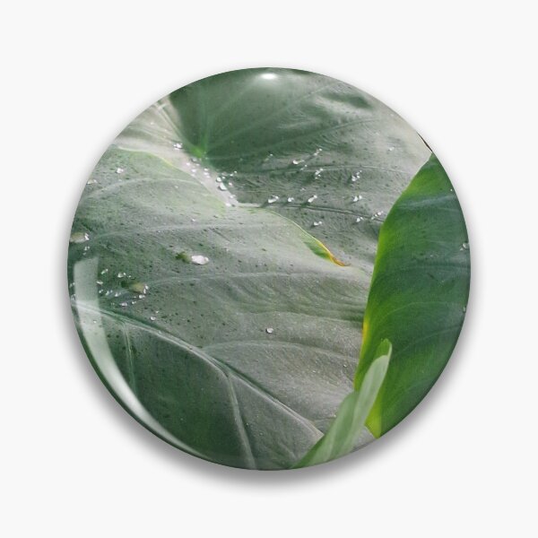 Item preview, nature, leaves, water drops, green, photography, Bebicervin designed and sold by BebiCervin.
