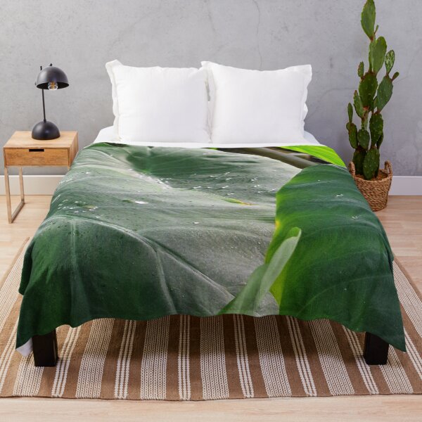 Item preview, nature, leaves, water drops, green, photography, Bebicervin designed and sold by BebiCervin.
