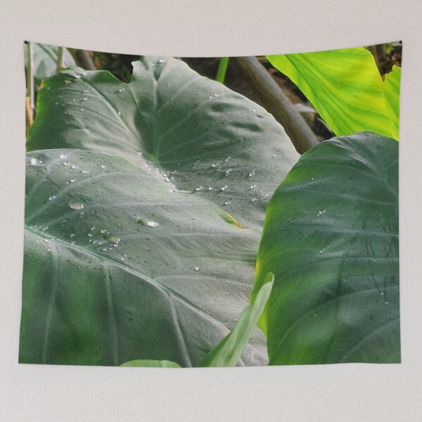 Item preview, nature, leaves, water drops, green, photography, Bebicervin designed and sold by BebiCervin.