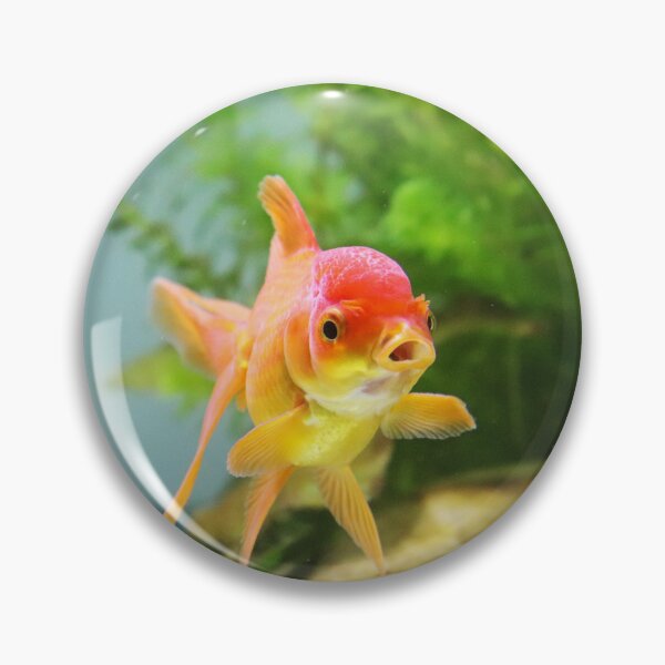 Item preview, Goldfish designed and sold by ReljaX.