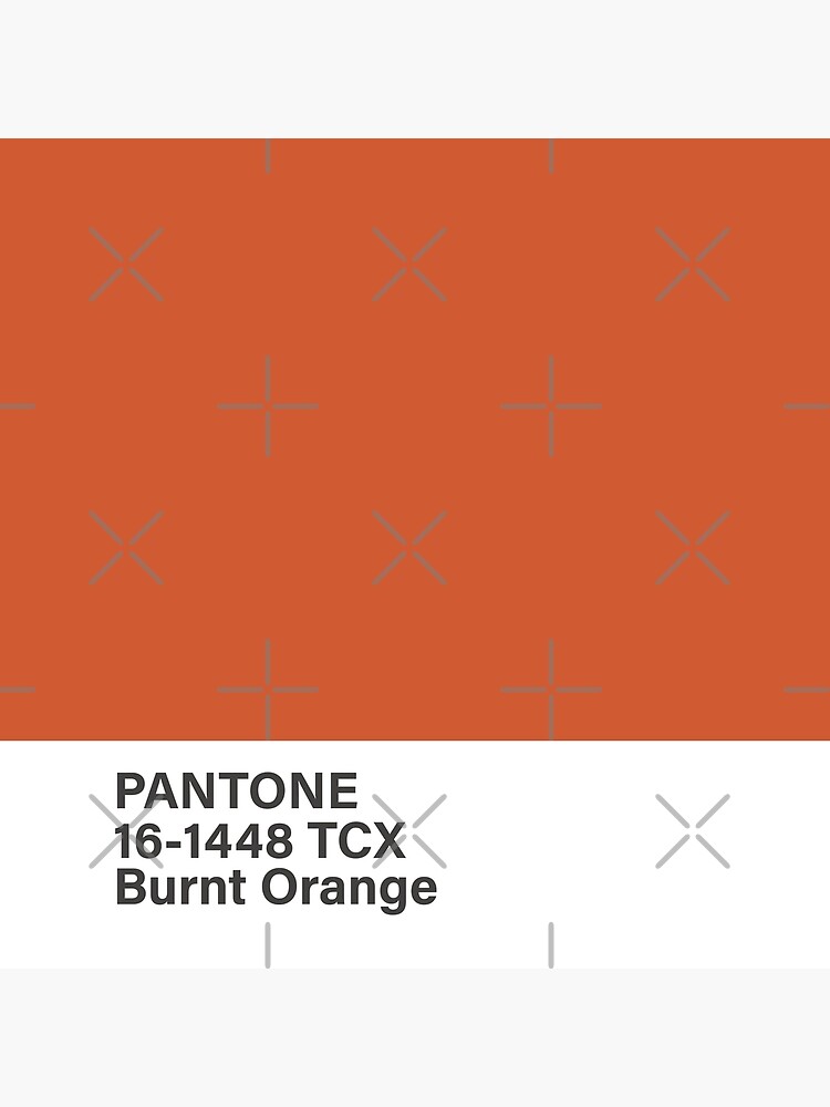 Burnt Orange - Orange Color Palette