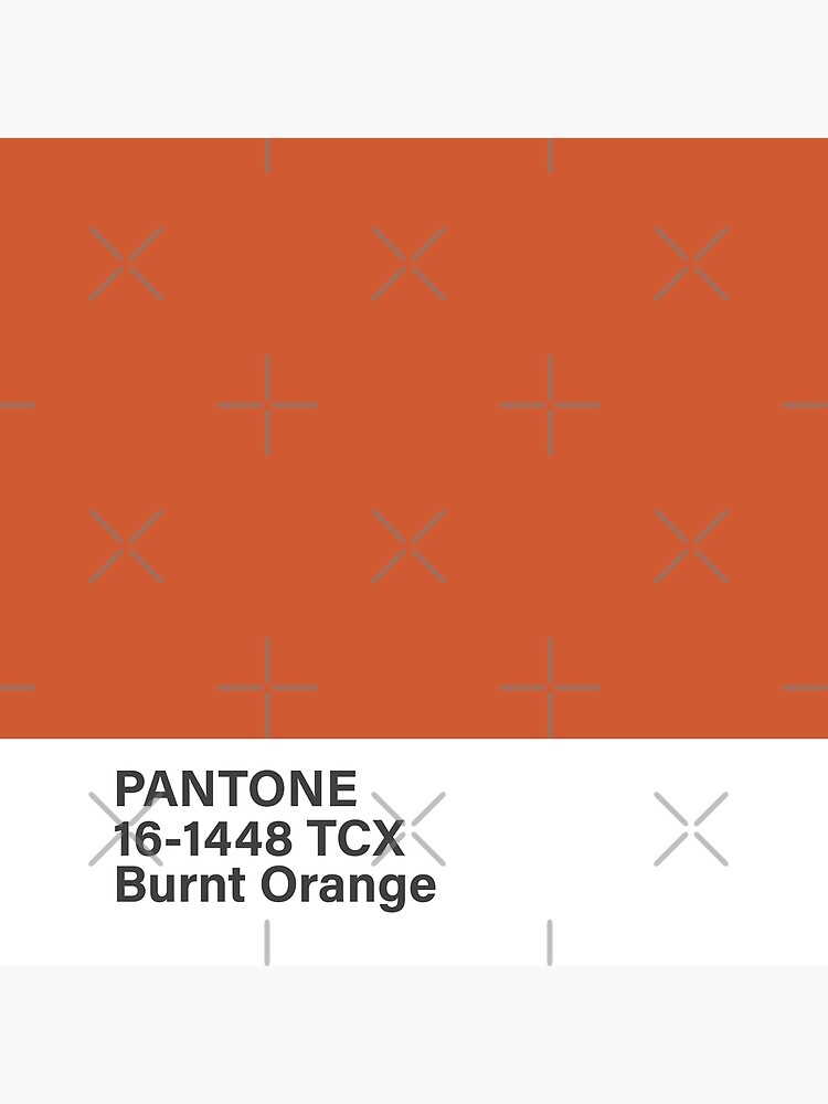 pantone 16-1448 TCX Burnt Orange | Art Print