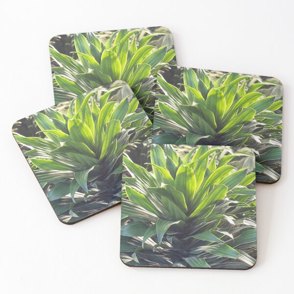 Item preview, Nature, Flora, Plant, Photography, Bebicervin designed and sold by BebiCervin.