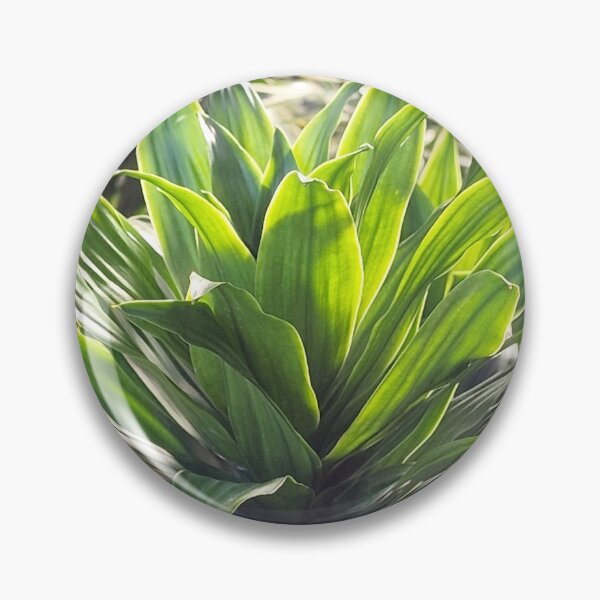 Item preview, Nature, Flora, Plant, Photography, Bebicervin designed and sold by BebiCervin.