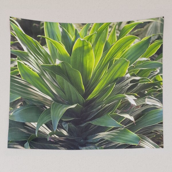 Item preview, Nature, Flora, Plant, Photography, Bebicervin designed and sold by BebiCervin.