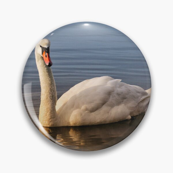 Item preview, Swan in the water designed and sold by jeepgirl363.