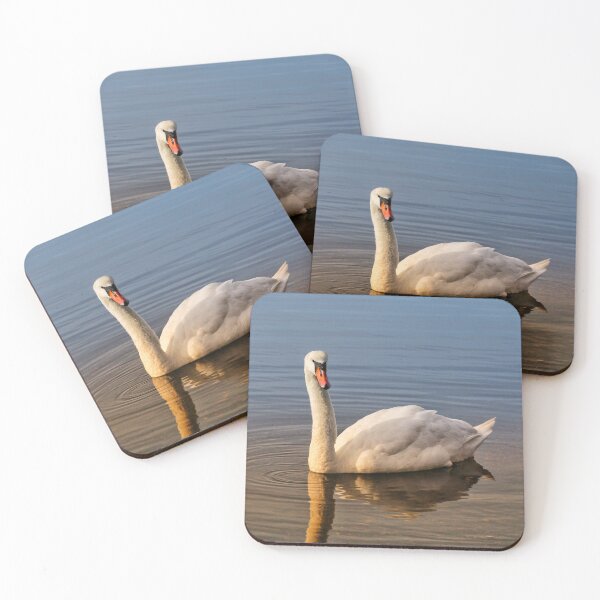 Item preview, Swan in the water designed and sold by jeepgirl363.