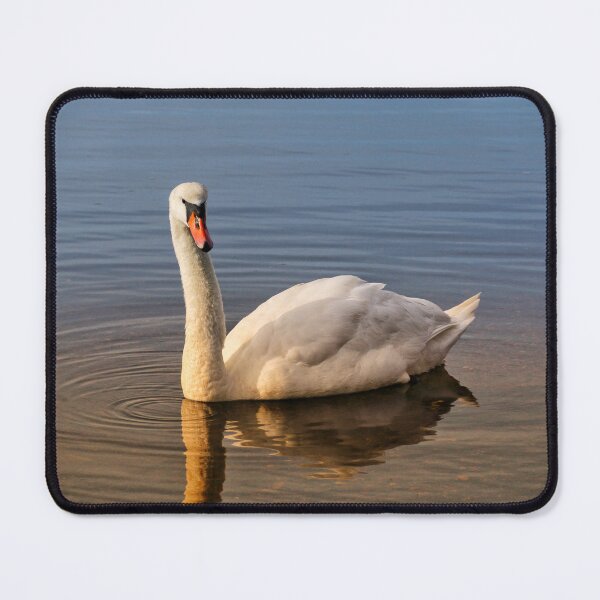 Item preview, Swan in the water designed and sold by jeepgirl363.