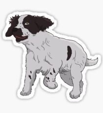 English Springer Spaniel Sticker