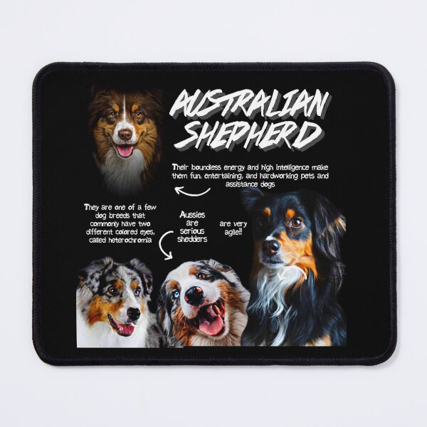 Item preview, Australian Shepherd Dog Fun Facts designed and sold by KyleNesas.