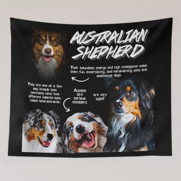 Item preview, Australian Shepherd Dog Fun Facts designed and sold by KyleNesas.