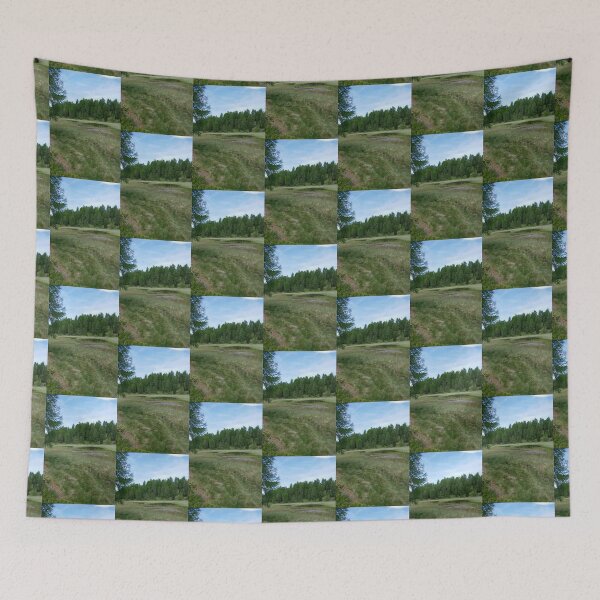 Item preview, Nature, Landscape, Europe, Switzerland, Valais, Moosalpe, Photography, BebiCervin designed and sold by BebiCervin.