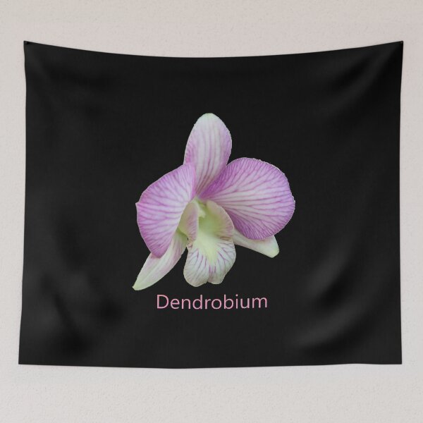 Item preview, Purple and White Orchid and its name designed and sold by SunnyDazDesign.