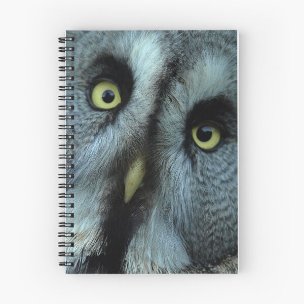 Item preview, Great Grey Owl designed and sold by Anna Fairley Nielsson.