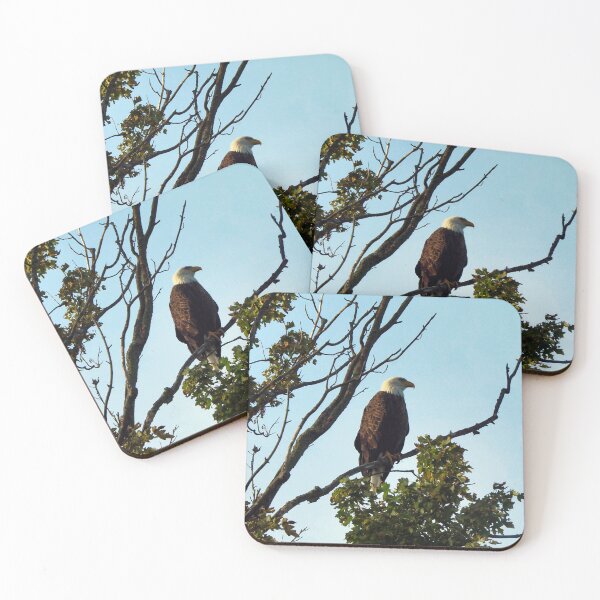 Item preview, Bald Eagle Perching On a Tree Branch designed and sold by BackyardBirder.