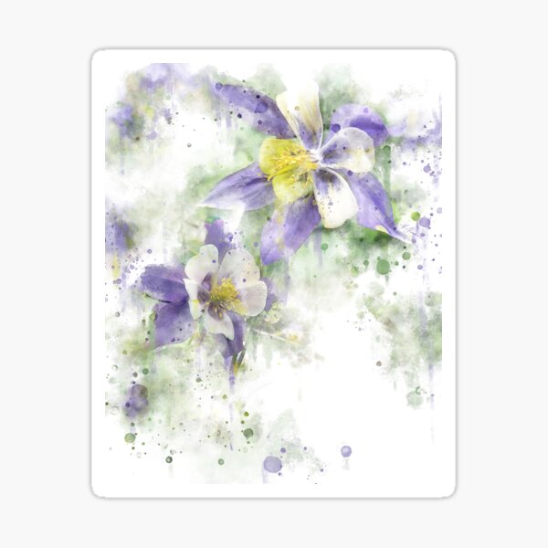 Colorado Columbines Sticker