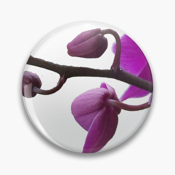 Item preview, Purple Phalaenopsis Orchids designed and sold by SunnyDazDesign.