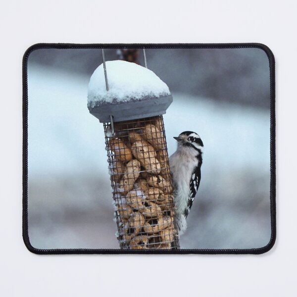 Artikelvorschau, Vogelfutterspender für Winterflaumspecht, Erdnuss entworfen und verkauft von BackyardBirder.