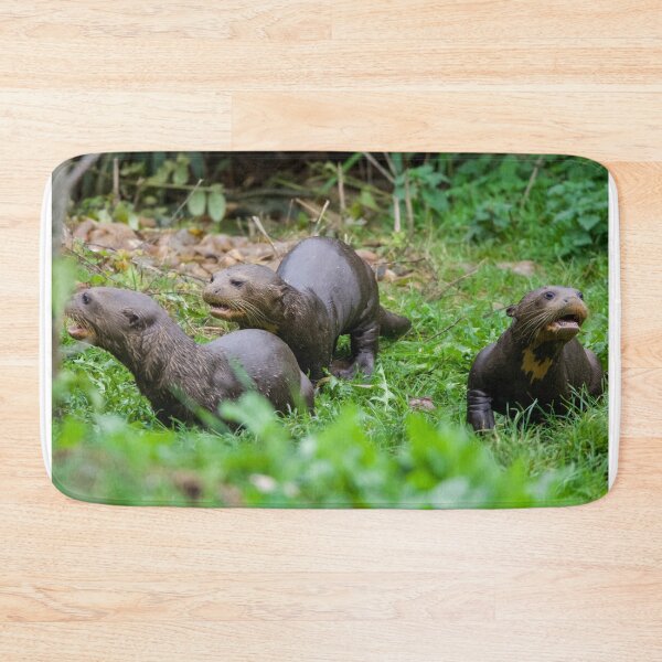 Item preview, Baby Otters Sticking Together designed and sold by LFPPhotography.